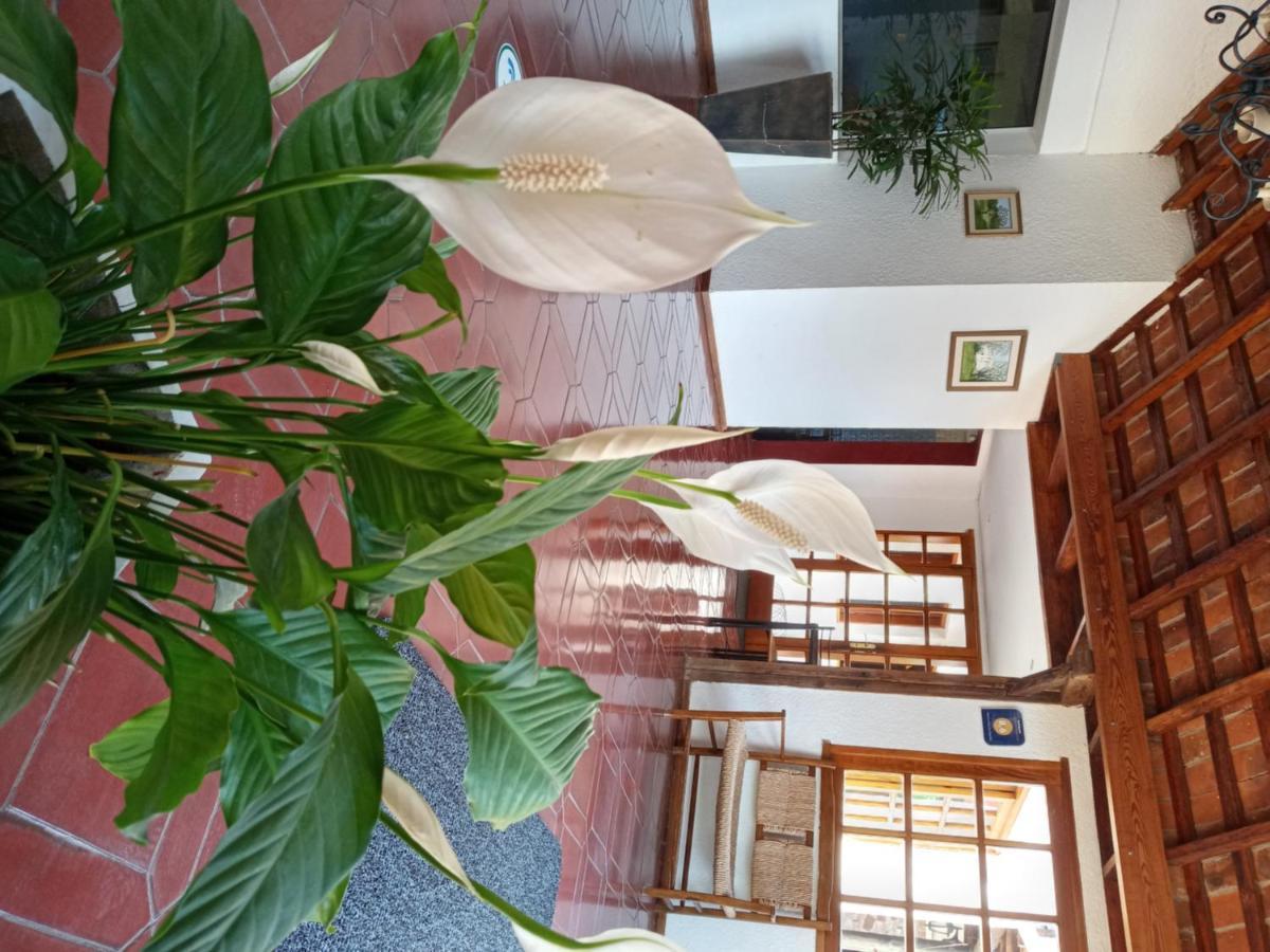 Hotel La Posta Del Dayman Термас-дель-Дайман Екстер'єр фото